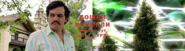 кокс Богородск