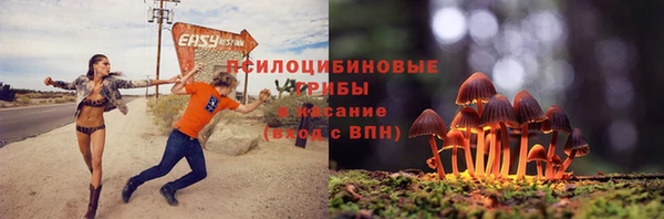 не бодяженный Богданович