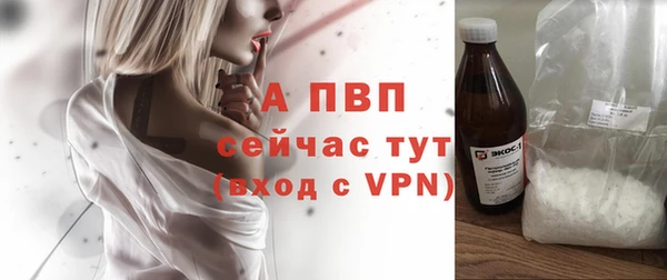 не бодяженный Богданович
