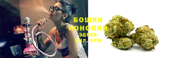 ALPHA PVP Богородицк