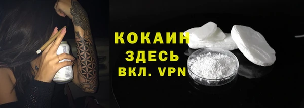 ALPHA PVP Богородицк