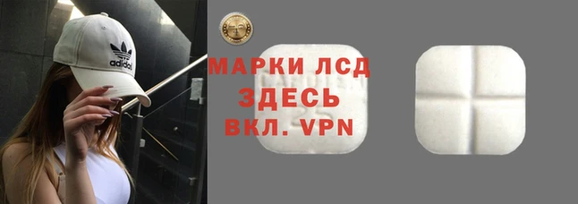 ALPHA PVP Богородицк