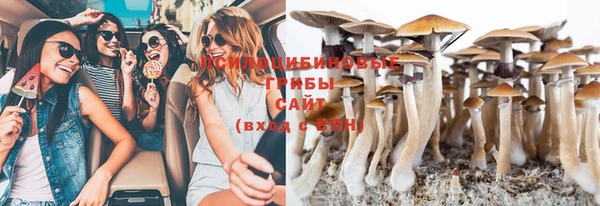 не бодяженный Богданович