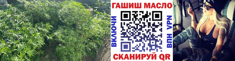 магазин    Абакан  ТГК гашишное масло 