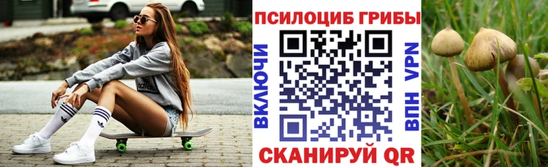 Псилоцибиновые грибы Cubensis  закладки  Абакан 